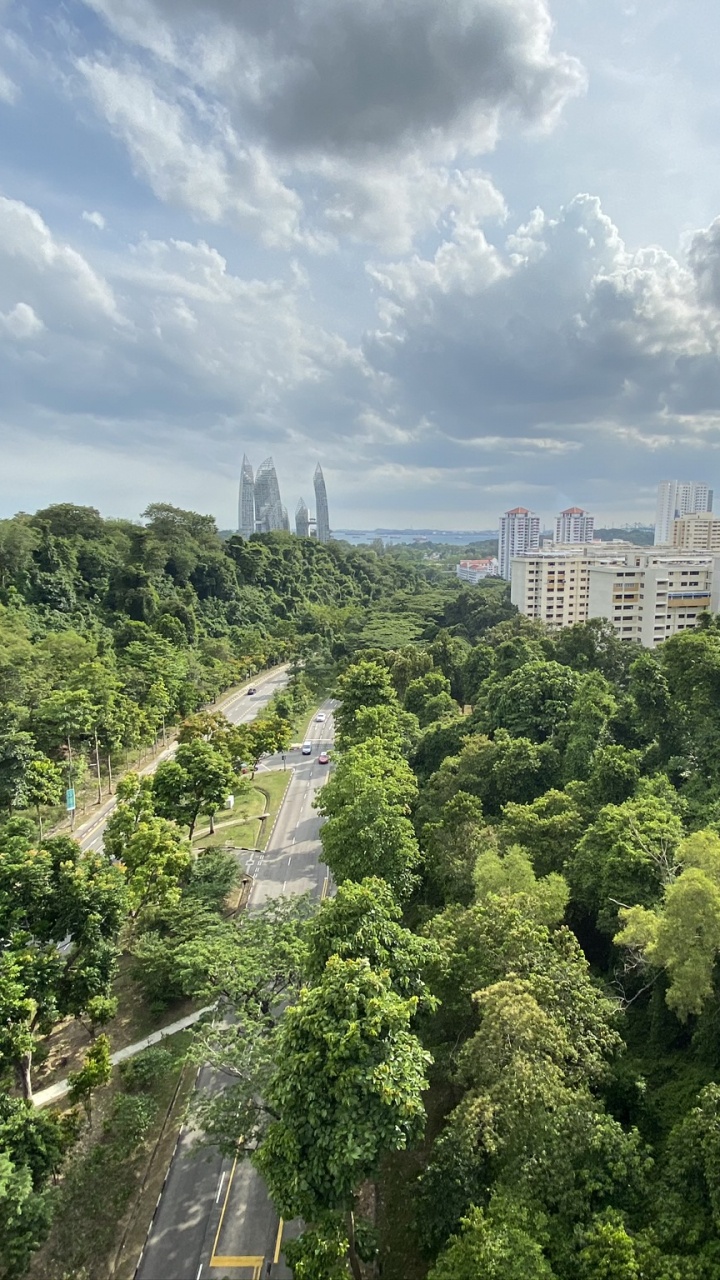 Vegetation, Nature, Daytime, Cloud, Urban Area. Wallpaper in 720x1280 Resolution