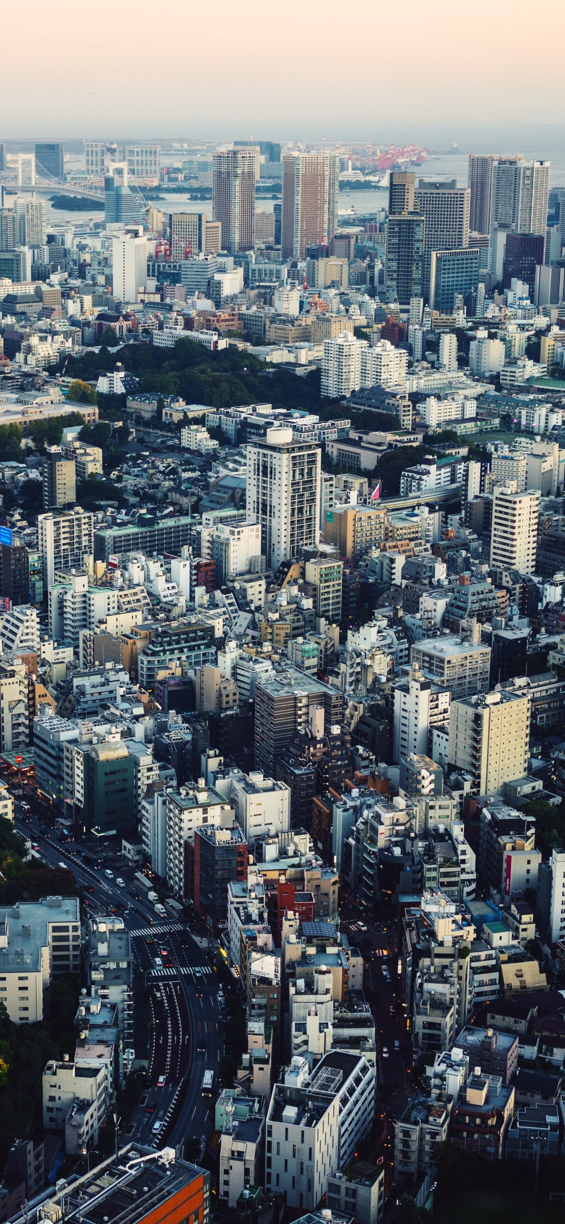 东京, 城市景观, 城市, 大都会, 天际线 壁纸 1125x2436 允许