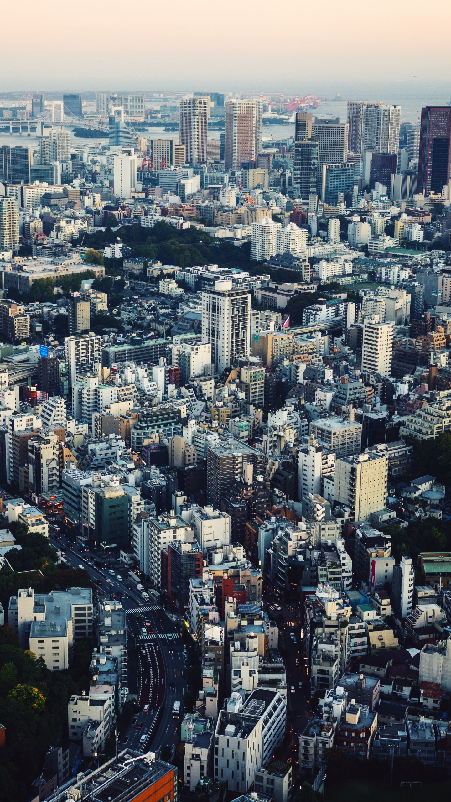 东京, 城市景观, 城市, 大都会, 天际线 壁纸 1440x2560 允许