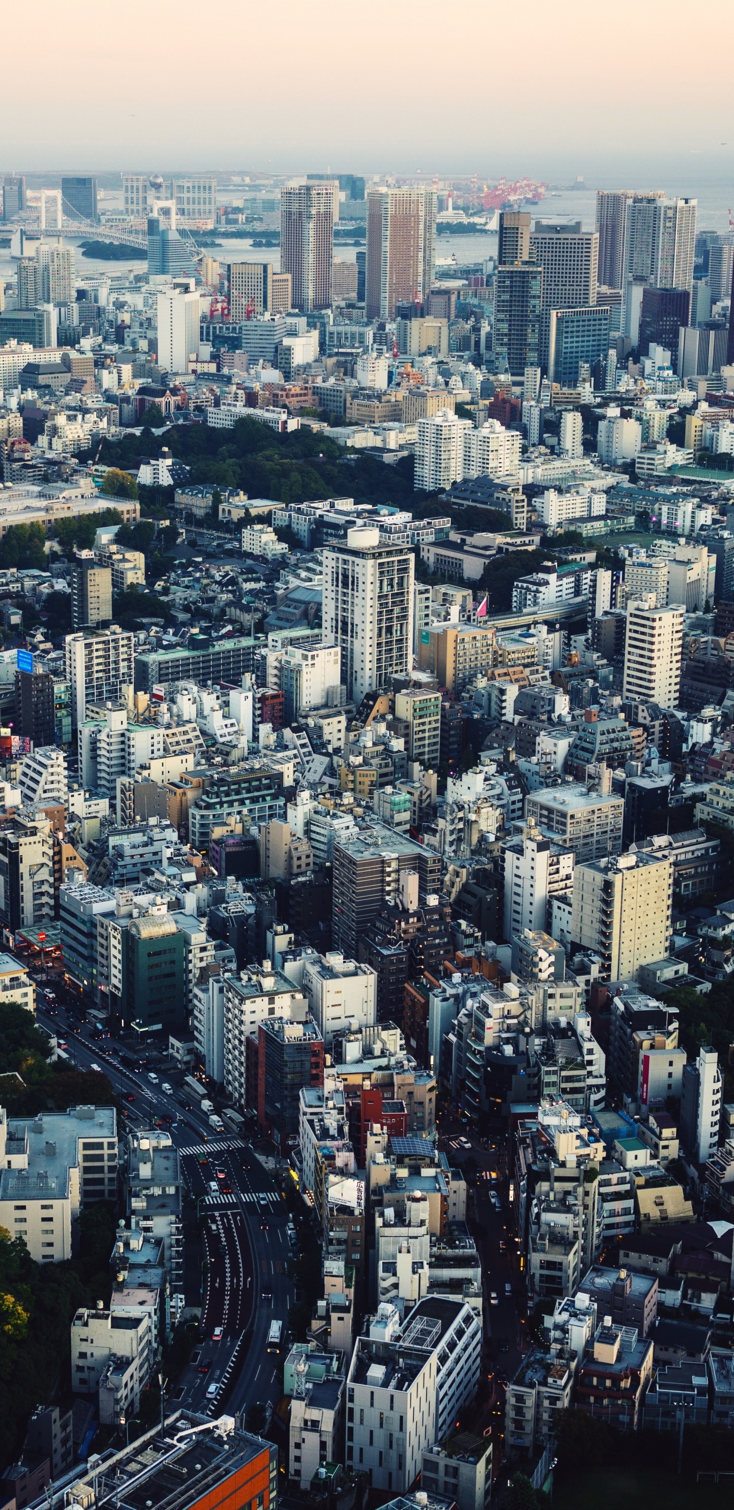东京, 城市景观, 城市, 大都会, 天际线 壁纸 1440x2960 允许