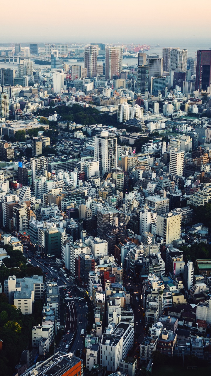 东京, 城市景观, 城市, 大都会, 天际线 壁纸 720x1280 允许