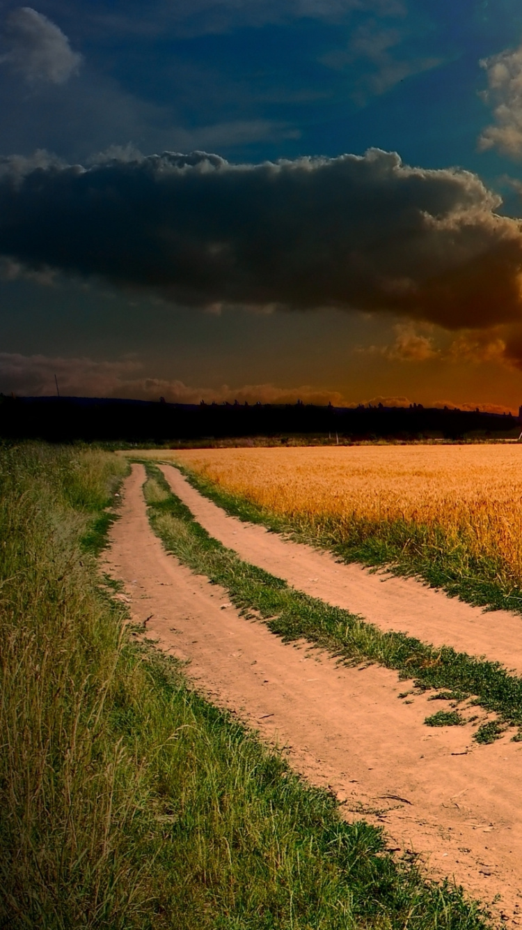Green Grass Field During Sunset. Wallpaper in 750x1334 Resolution