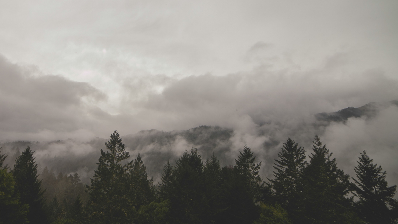 Green Trees Under White Clouds. Wallpaper in 1366x768 Resolution