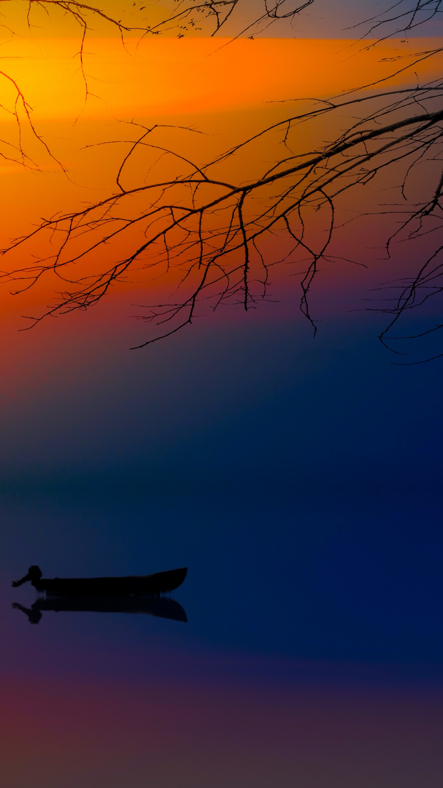 Ambiente, Afterglow, Atardecer, Sucursal, Aeronave. Wallpaper in 1440x2560 Resolution
