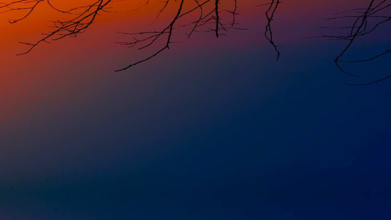Atmosphere, Daytime, Afterglow, Dusk, Branch. Wallpaper in 1366x768 Resolution