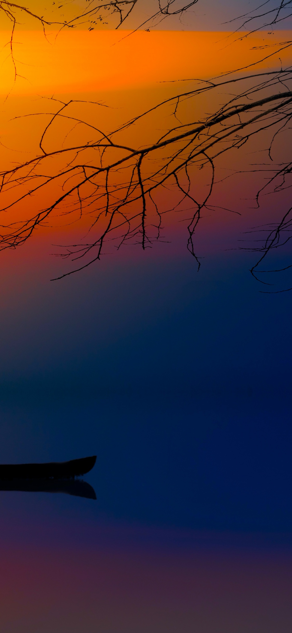 Atmosphère, la Journée, Afterglow, Paysage Naturel, Rameau. Wallpaper in 1125x2436 Resolution