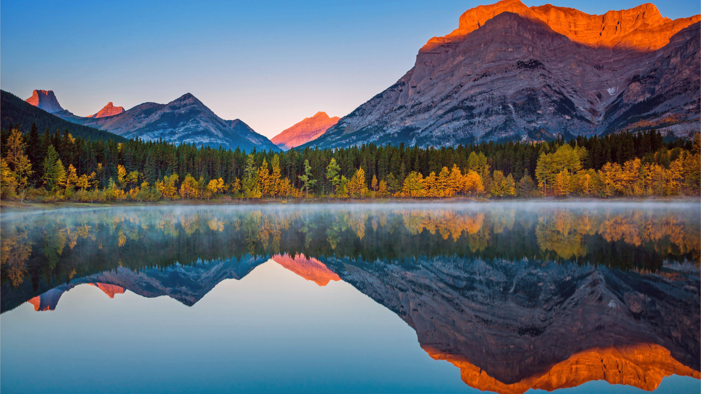 Green Trees Near Lake During Daytime. Wallpaper in 1366x768 Resolution
