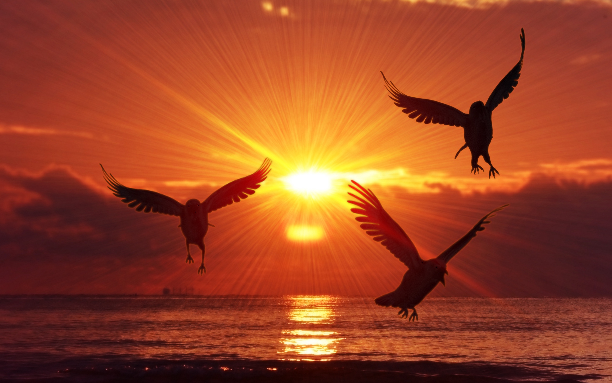 pajaros volando silueta