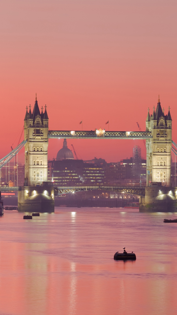 Puente Sobre el Río Durante la Noche. Wallpaper in 720x1280 Resolution
