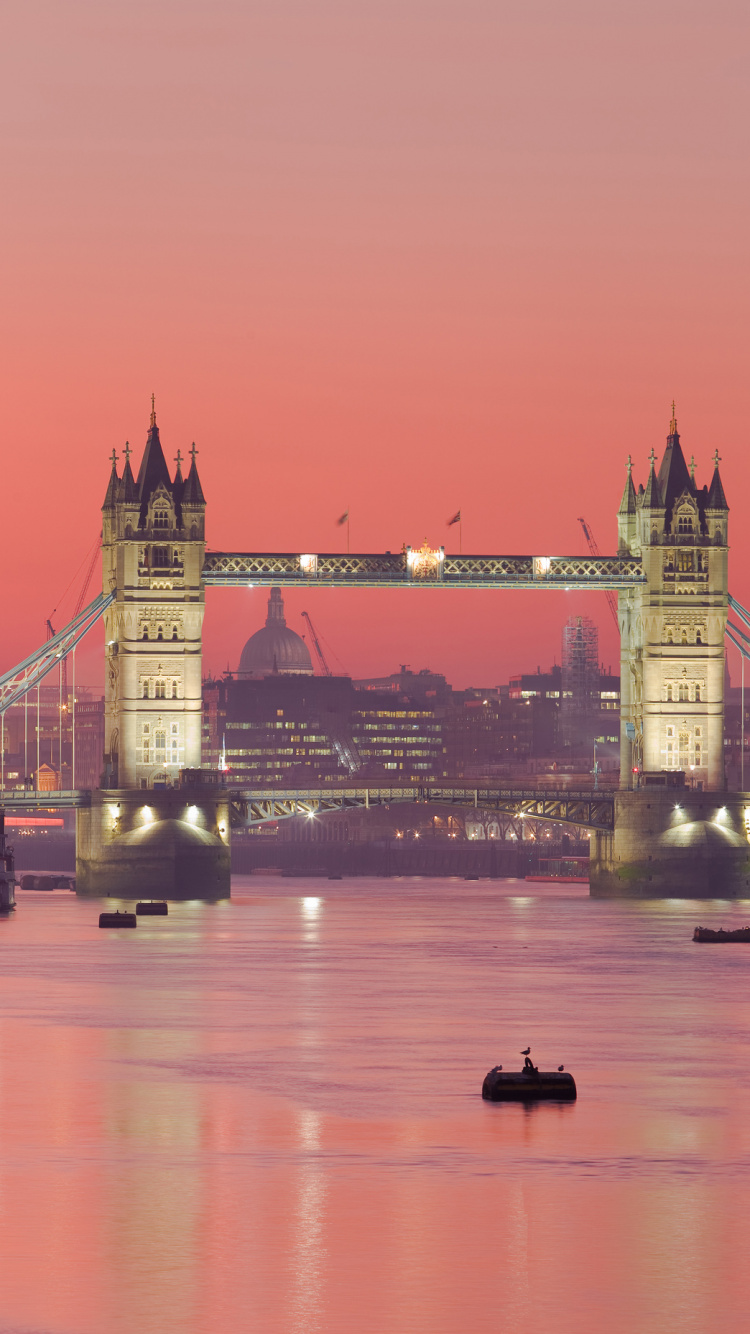 Bridge Over River During Night Time. Wallpaper in 750x1334 Resolution