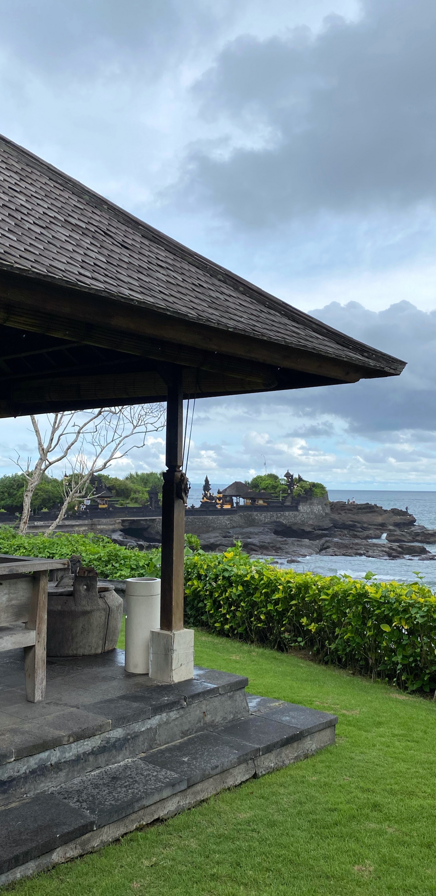 地被, 阴凉处, 花园, 人行道, 混凝土 壁纸 1440x2960 允许