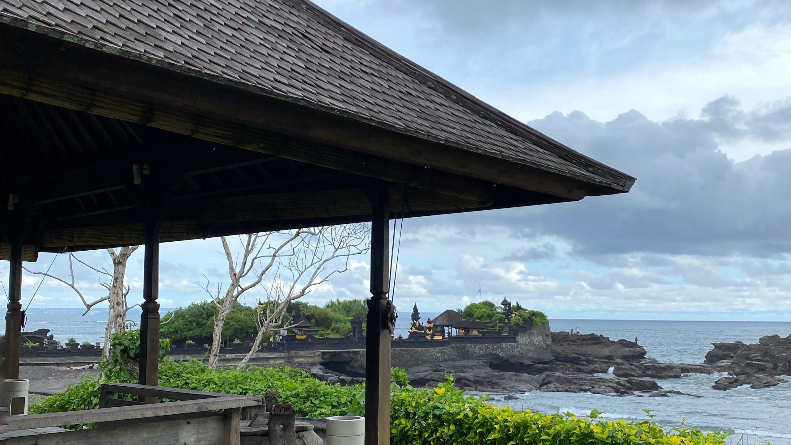 地被, 阴凉处, 花园, 人行道, 混凝土 壁纸 2560x1440 允许