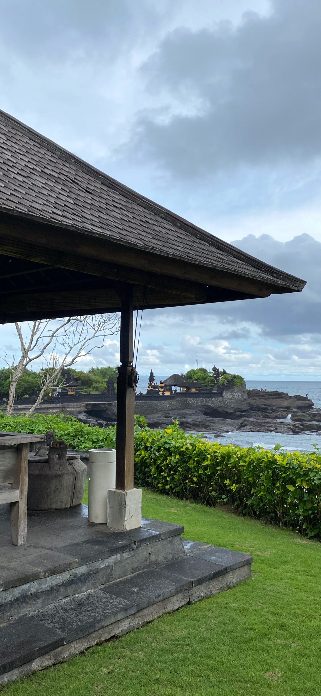 Water, Plant, Groundcover, Shade, Garden. Wallpaper in 1125x2436 Resolution