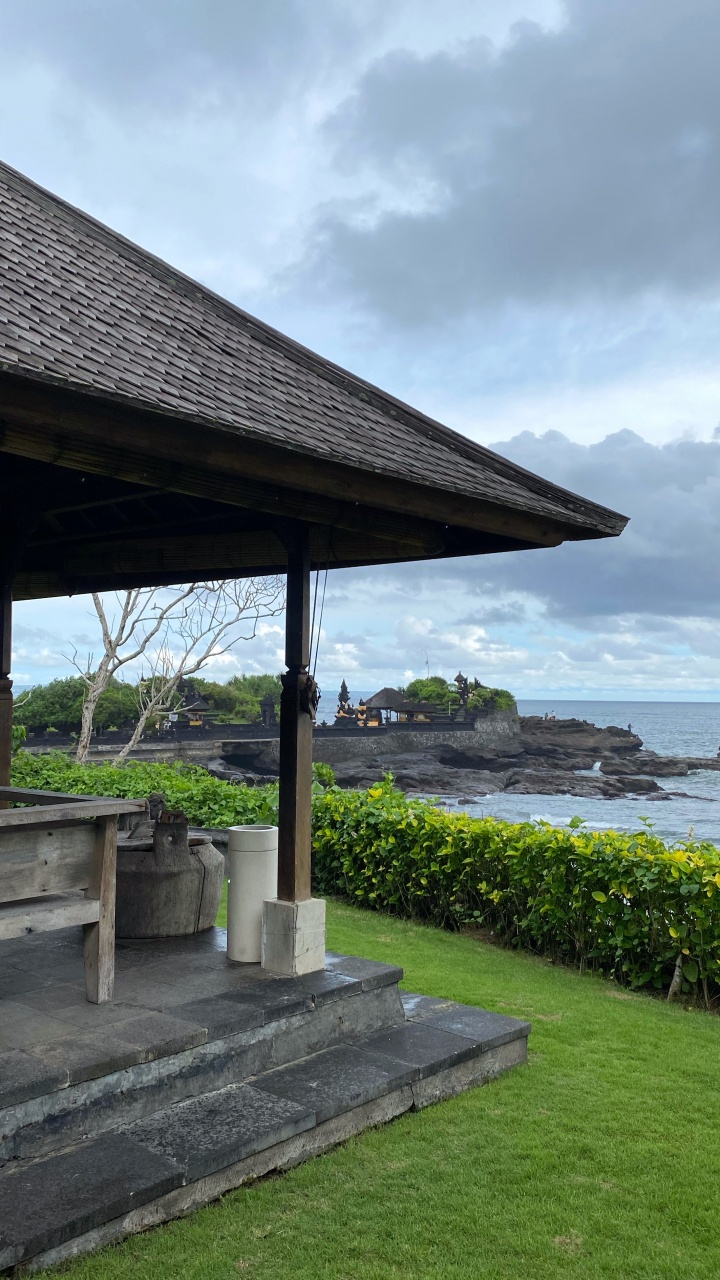 Water, Plant, Groundcover, Shade, Garden. Wallpaper in 720x1280 Resolution