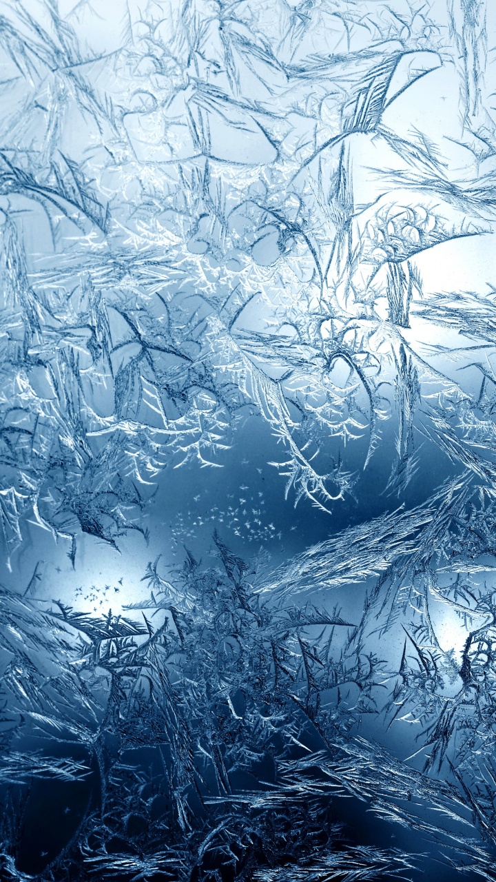 Ramas de Árboles Blancas y Negras. Wallpaper in 720x1280 Resolution