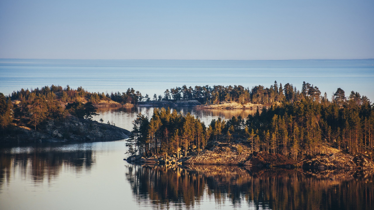 Brown Trees Near Body of Water During Daytime. Wallpaper in 1280x720 Resolution