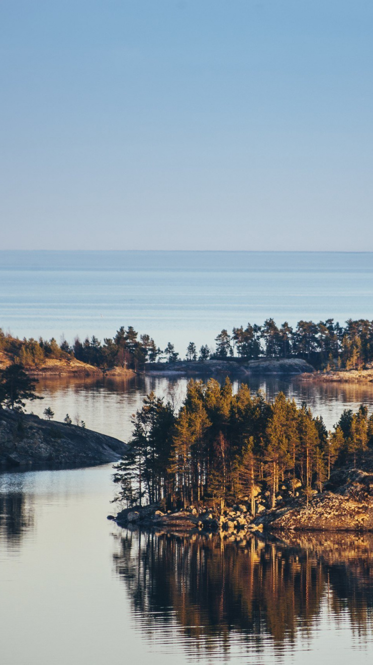 Brown Trees Near Body of Water During Daytime. Wallpaper in 750x1334 Resolution