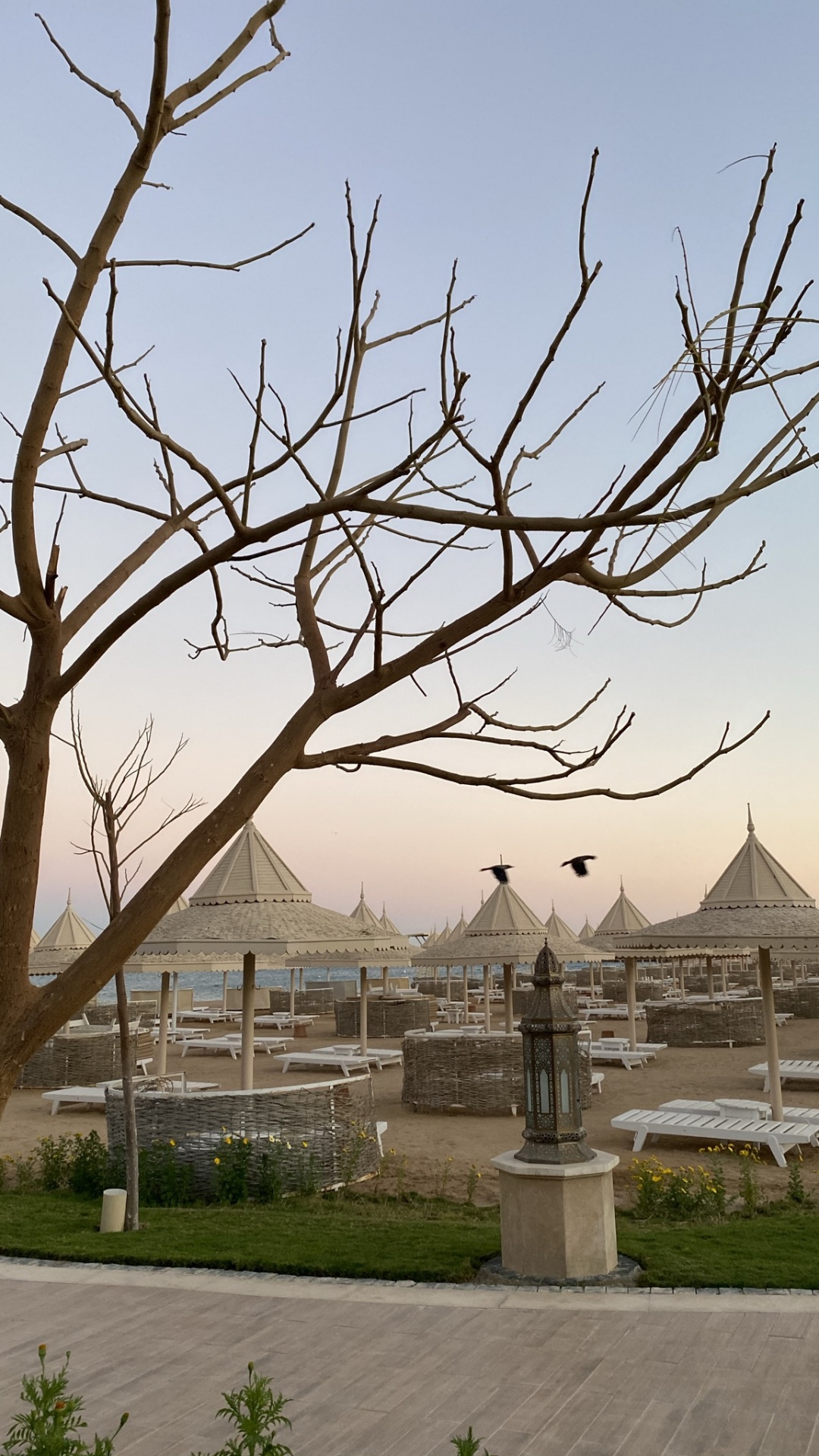 la Física, Ciencia, Naturaleza, Sucursal, Arquitectura. Wallpaper in 1080x1920 Resolution