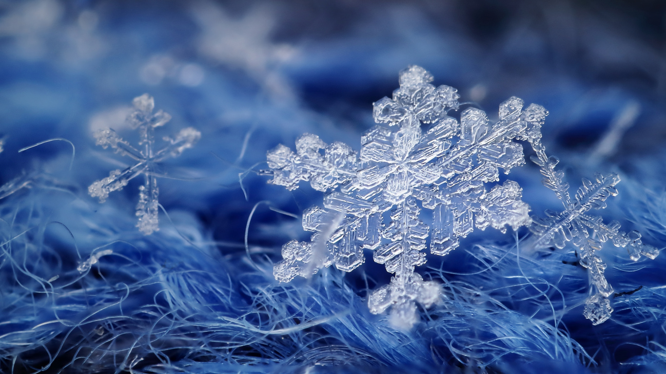 Snowflake, Twig, Branch, Freezing, Grass. Wallpaper in 1366x768 Resolution