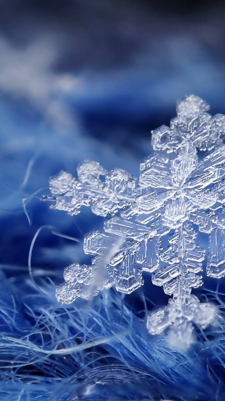 Snowflake, Twig, Branch, Freezing, Grass. Wallpaper in 720x1280 Resolution