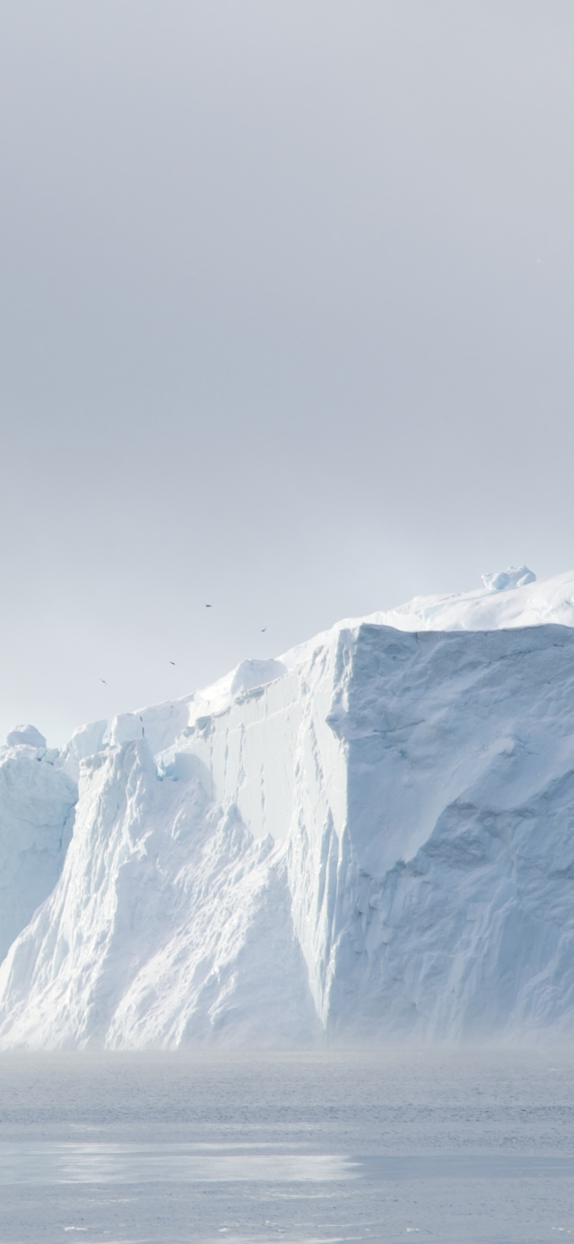 Montagne Couverte de Neige Près D'un Plan D'eau Pendant la Journée. Wallpaper in 1125x2436 Resolution