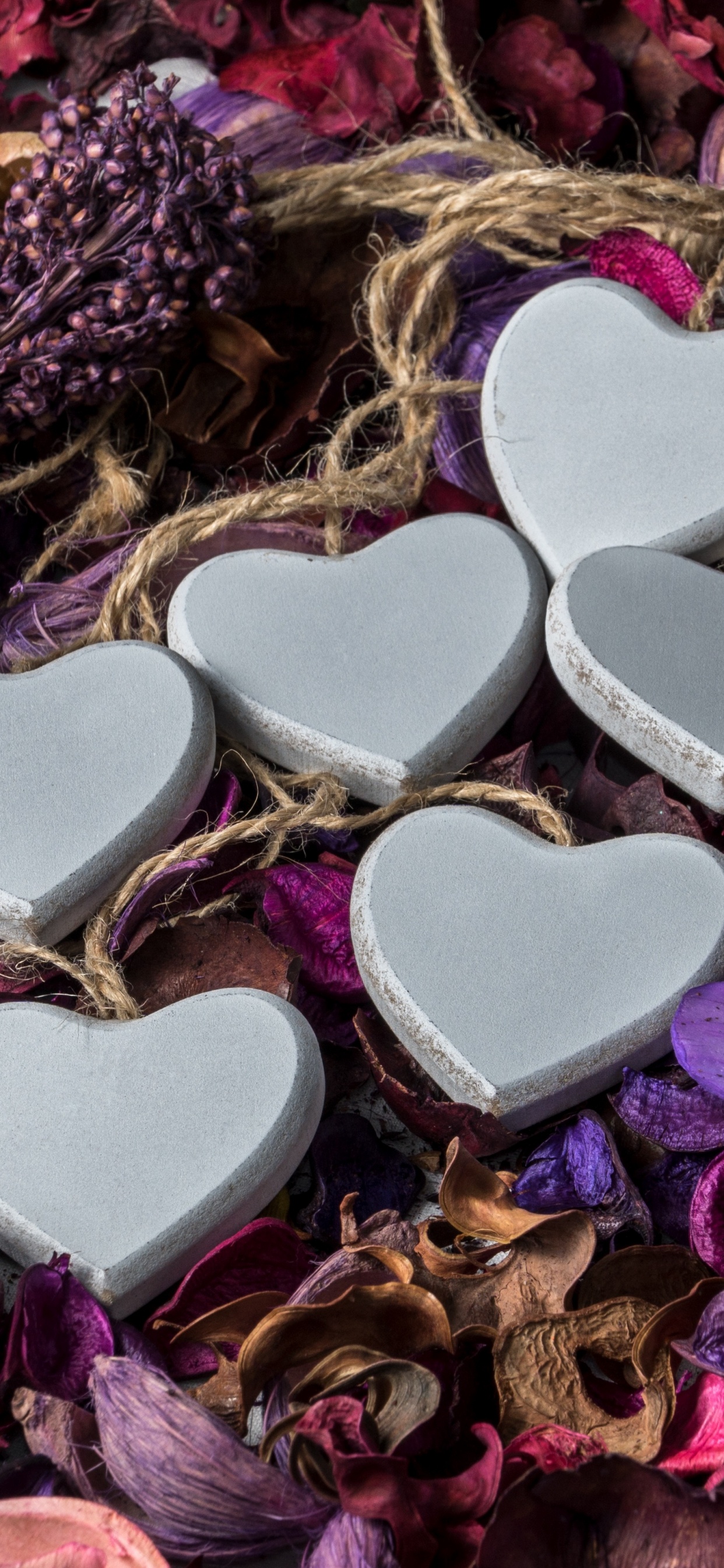 Heart, Purple, Petal, Heart Flowers, Lilac. Wallpaper in 1242x2688 Resolution