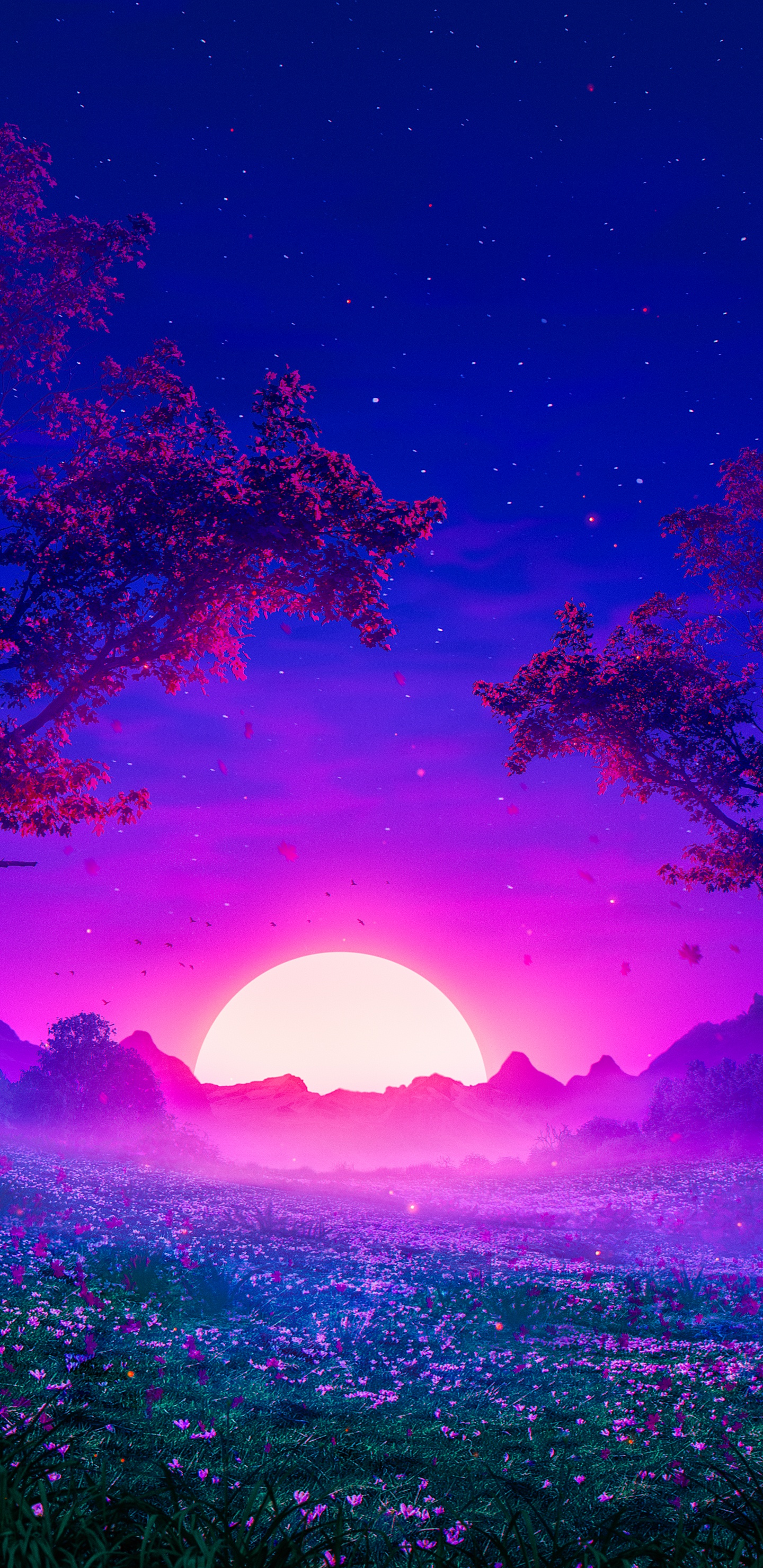 Terre, Atmosphère, Purple, Paysage Naturel, Blue. Wallpaper in 1440x2960 Resolution