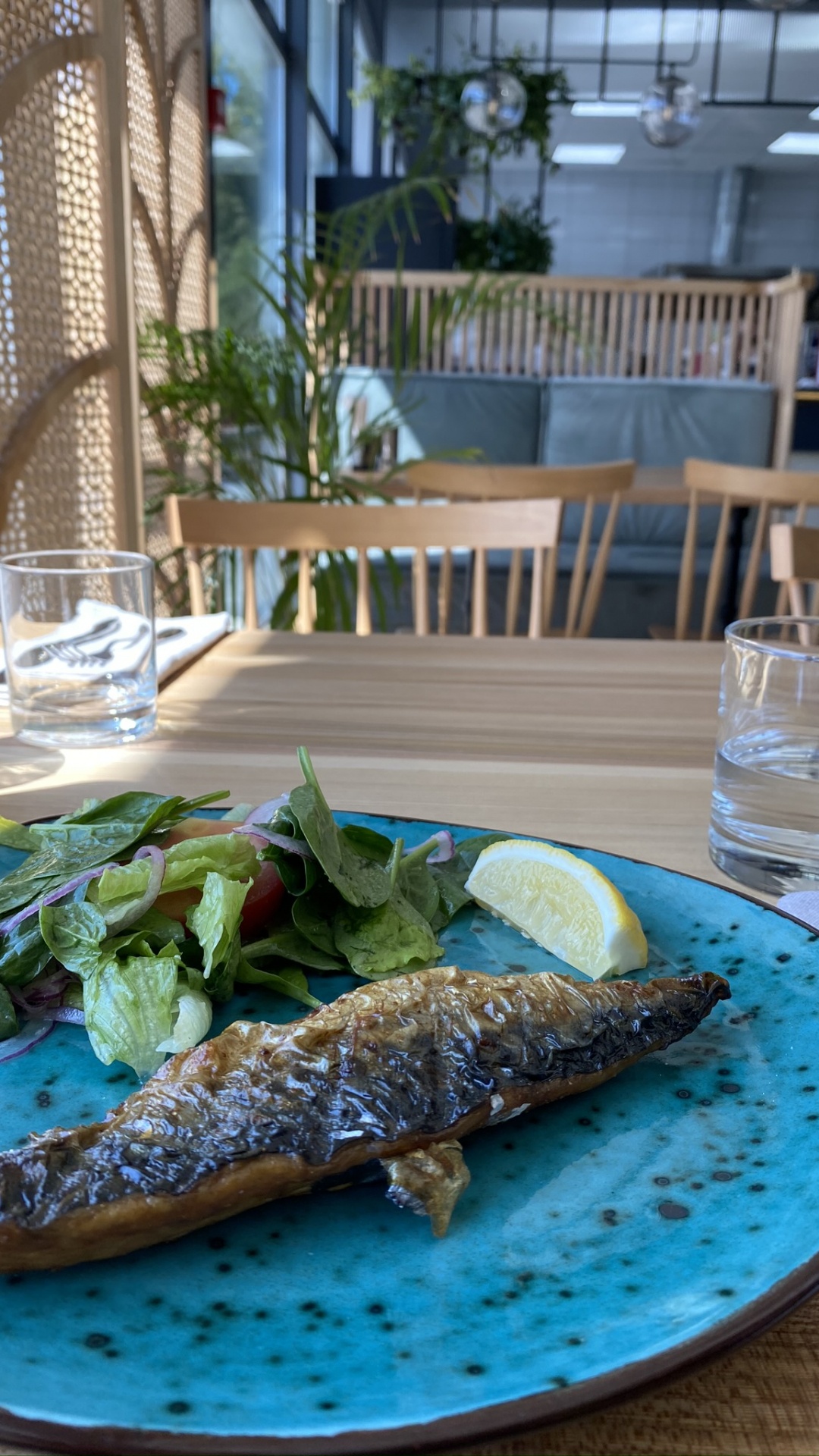 Fish, Dish, Brunch, Science, Biology. Wallpaper in 1080x1920 Resolution