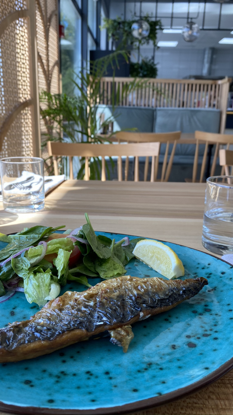 Poisson, Plat, Brunch, Sciences, Biologie. Wallpaper in 750x1334 Resolution