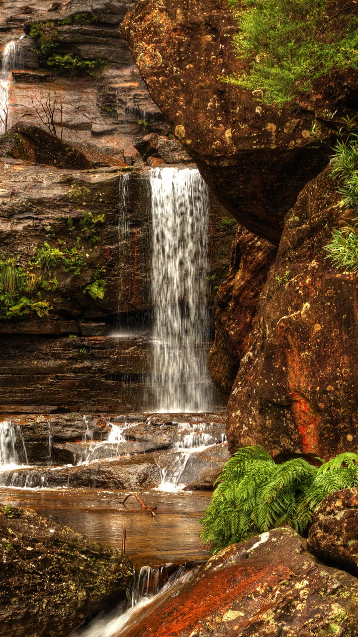 L'eau Tombe au Milieu de la Forêt. Wallpaper in 720x1280 Resolution