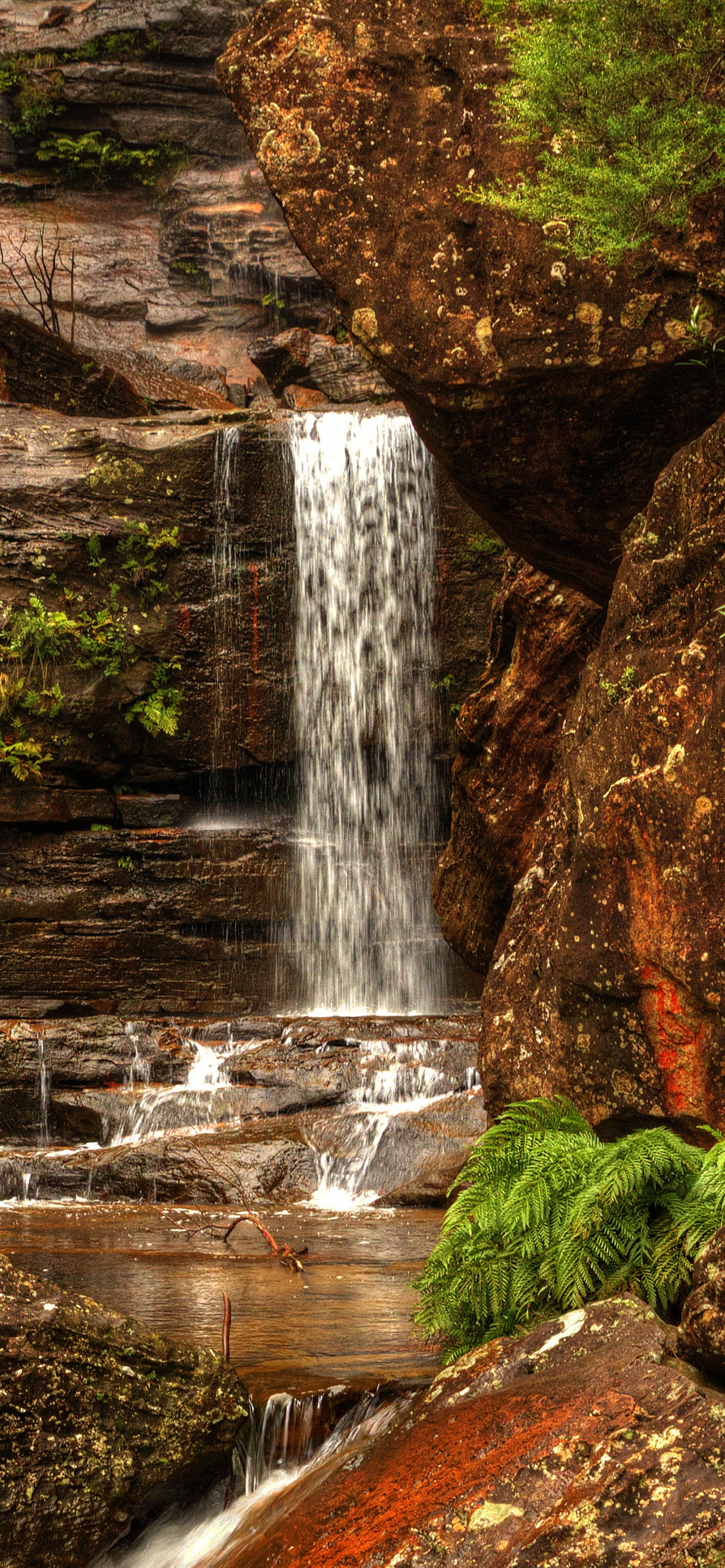 Water Falls in The Middle of The Forest. Wallpaper in 1242x2688 Resolution