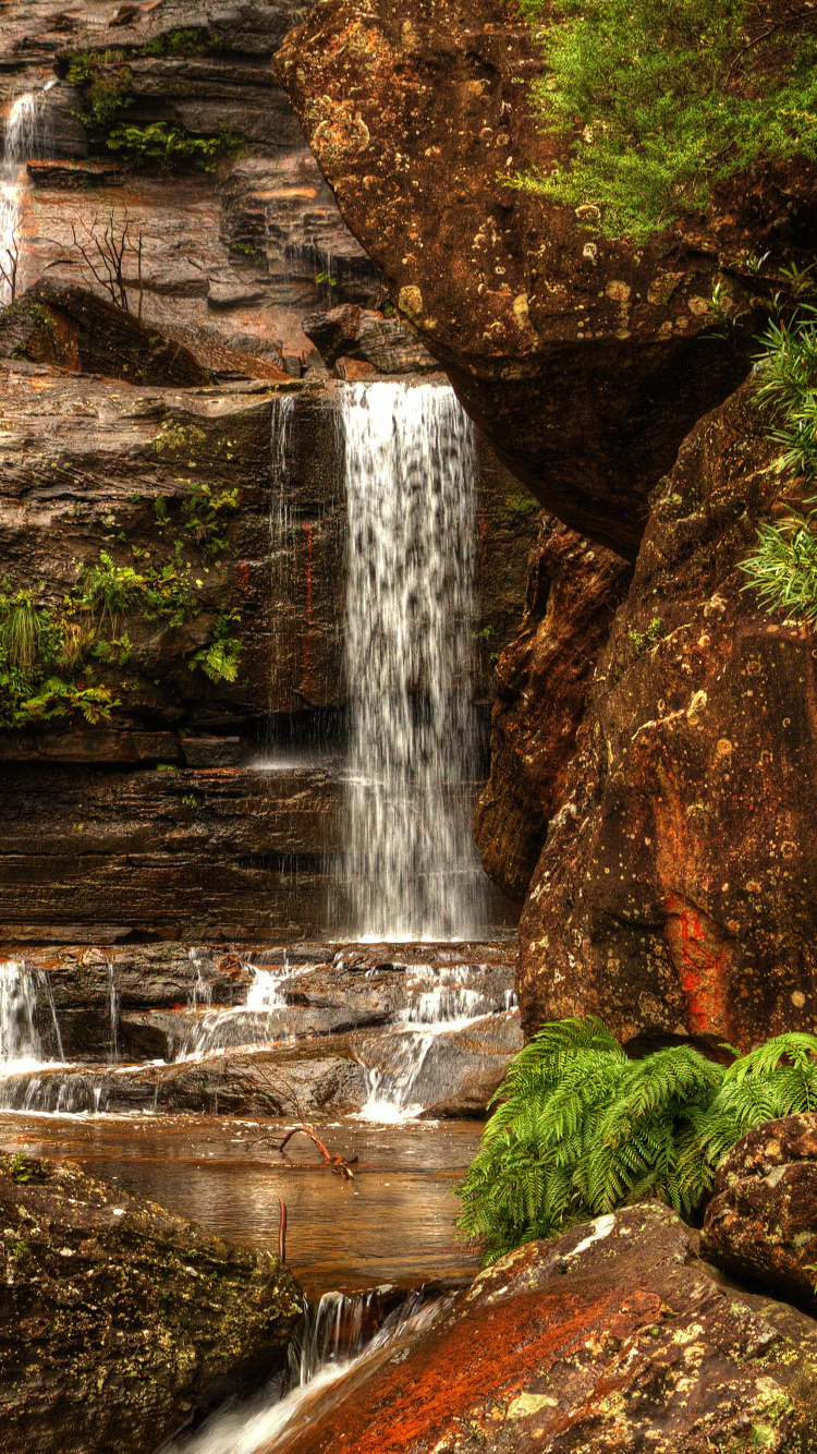 Wasser Fällt Mitten in Den Wald. Wallpaper in 750x1334 Resolution