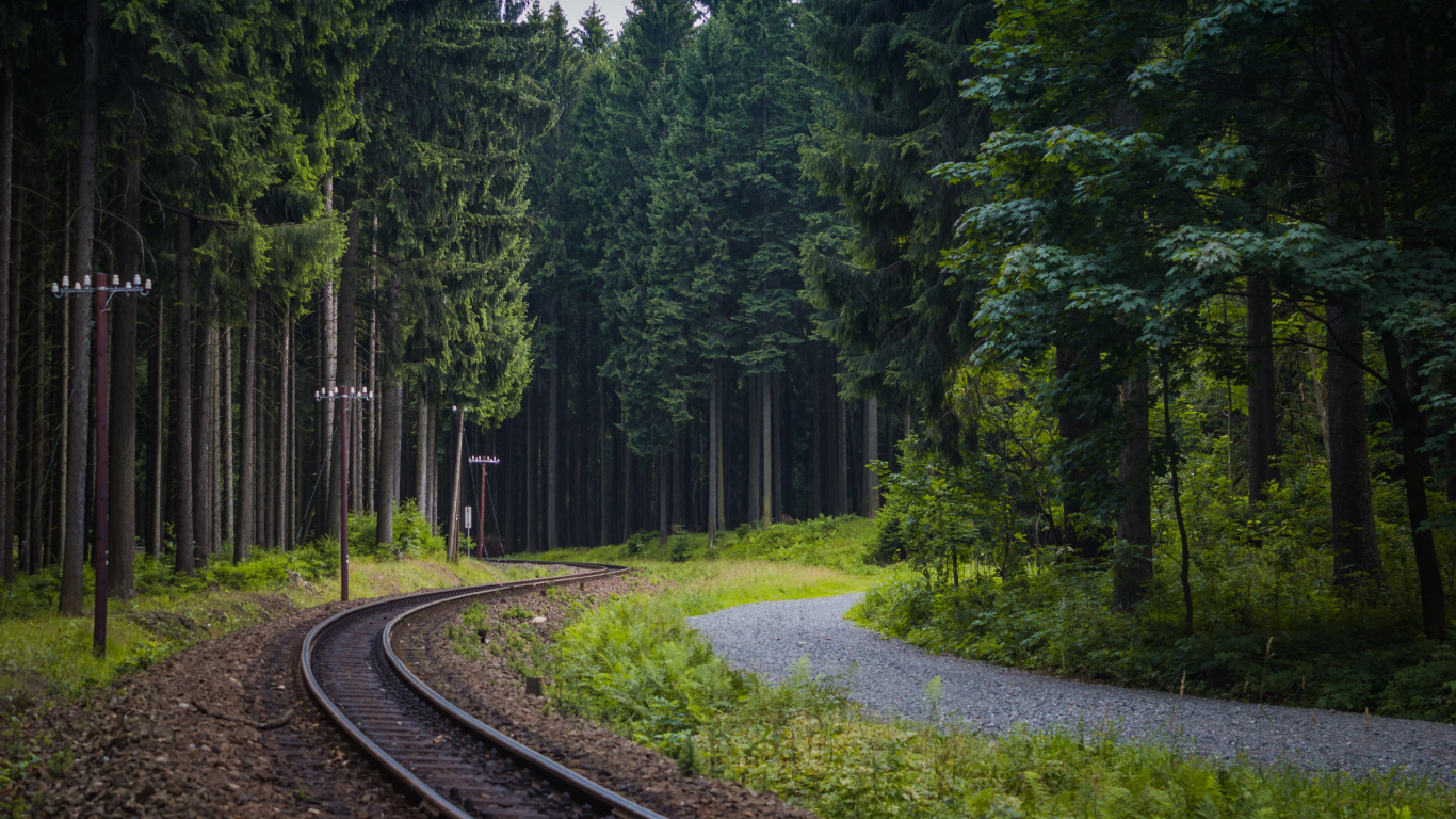 Green Trees Beside Gray Concrete Road. Wallpaper in 1366x768 Resolution