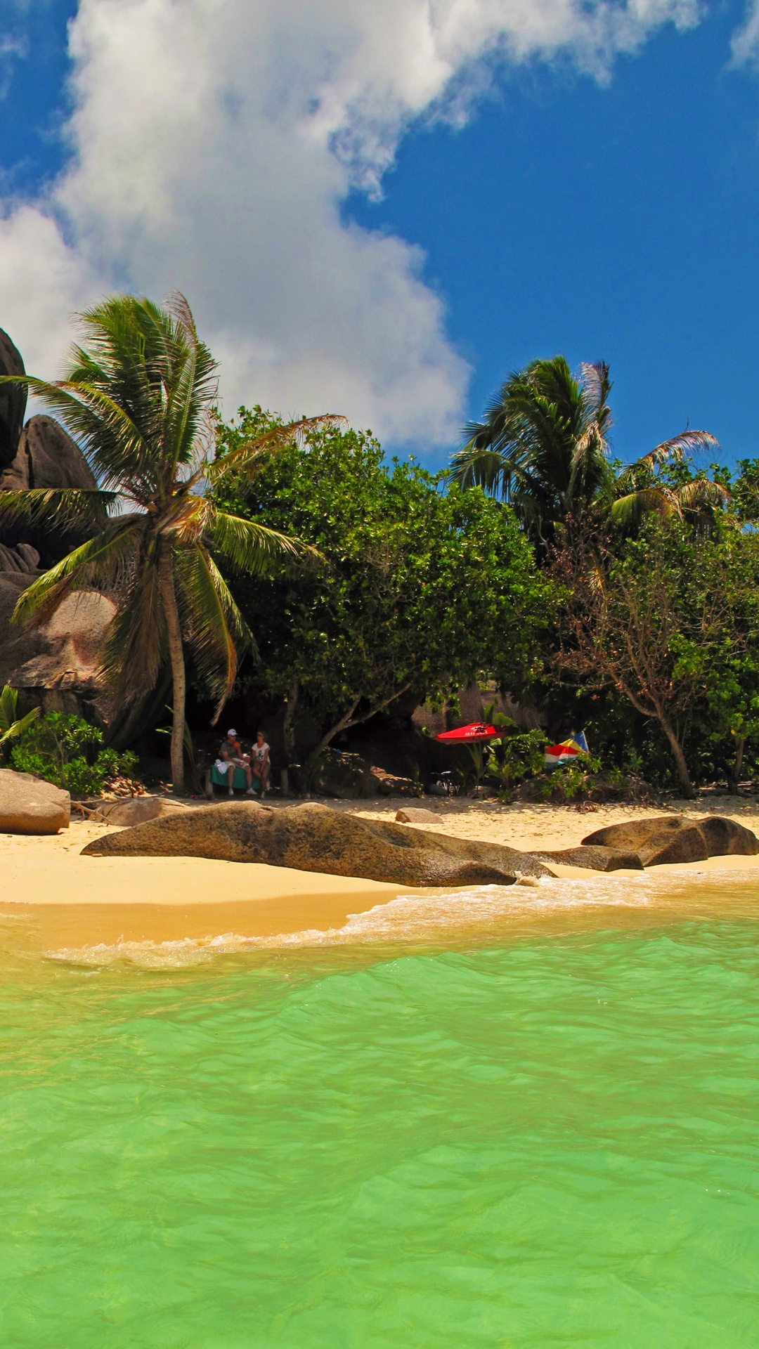 Arbres Verts Sur du Sable Brun Près D'un Plan D'eau Pendant la Journée. Wallpaper in 1080x1920 Resolution