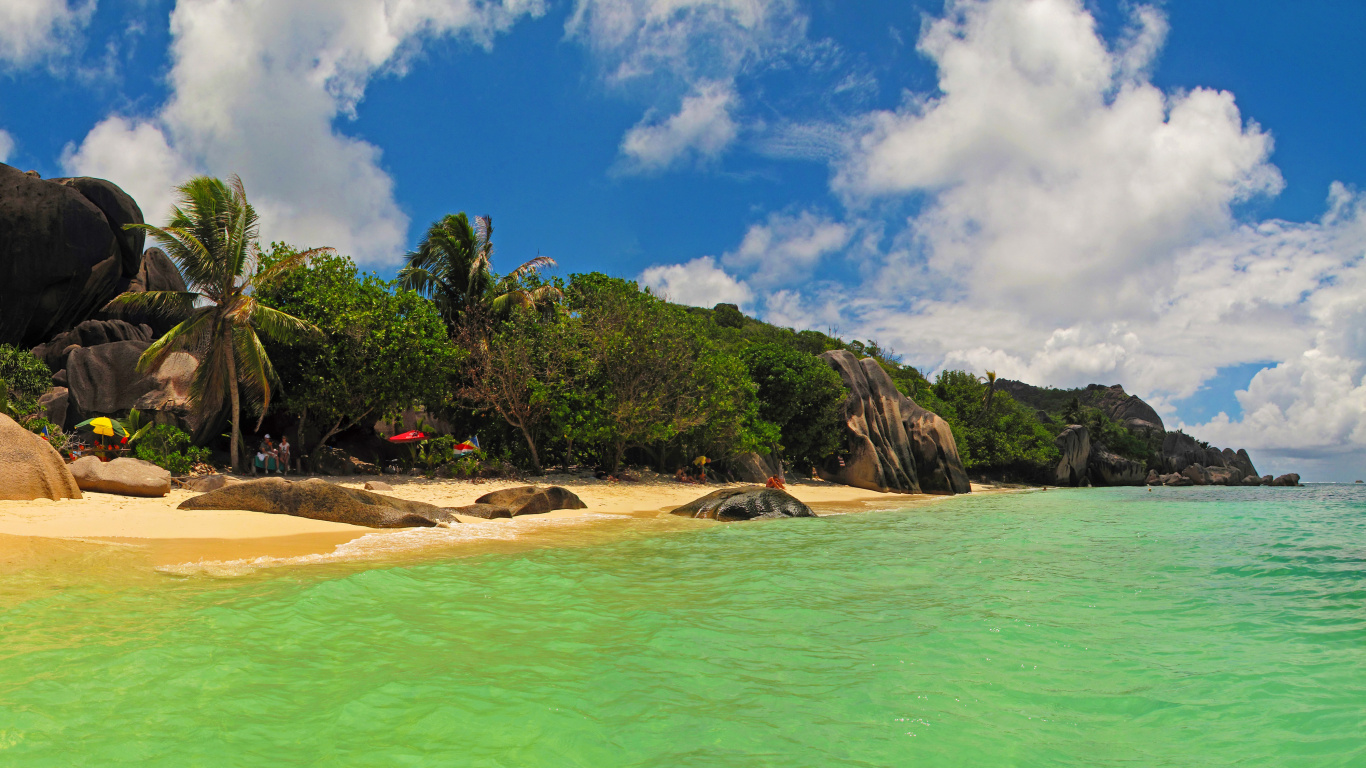 Arbres Verts Sur du Sable Brun Près D'un Plan D'eau Pendant la Journée. Wallpaper in 1366x768 Resolution