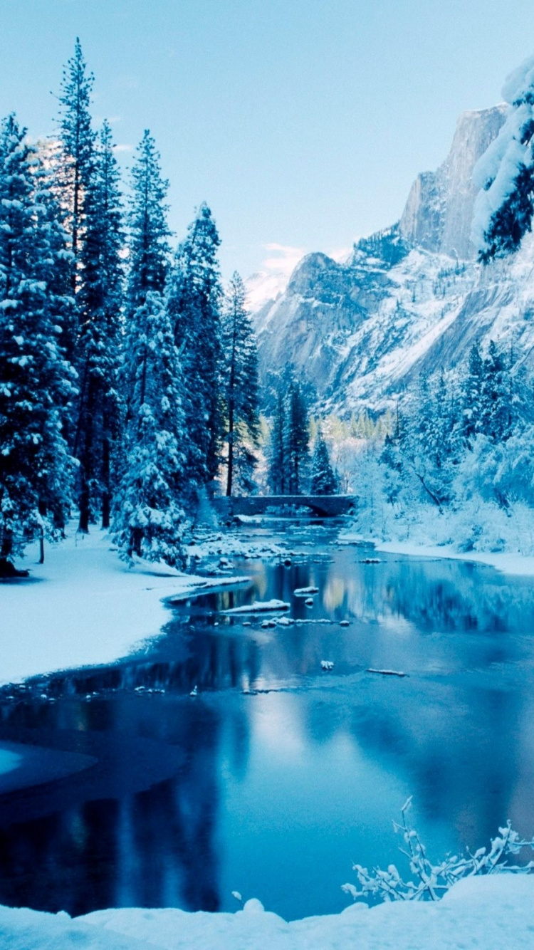 Arbres Couverts de Neige et Lac Pendant la Journée. Wallpaper in 750x1334 Resolution