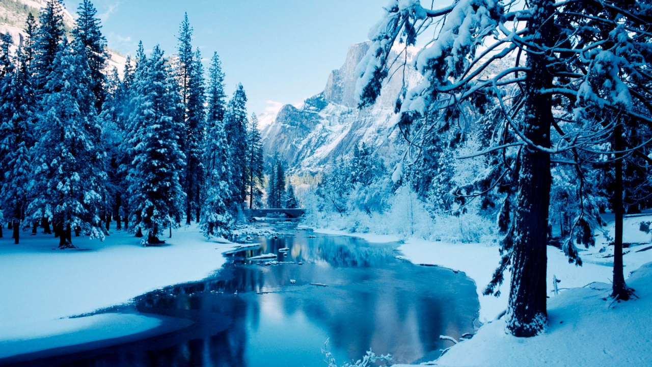 Snow Covered Trees and Lake During Daytime. Wallpaper in 1280x720 Resolution