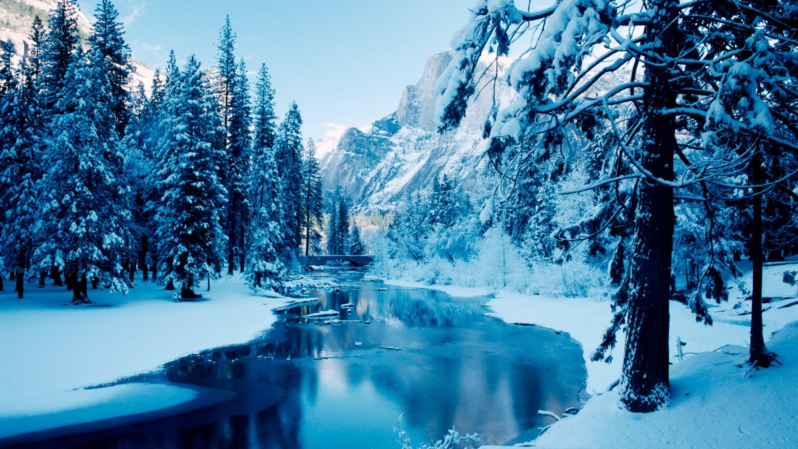 Snow Covered Trees and Lake During Daytime. Wallpaper in 2560x1440 Resolution