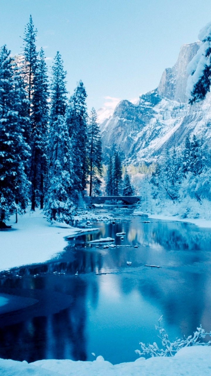 Snow Covered Trees and Lake During Daytime. Wallpaper in 720x1280 Resolution