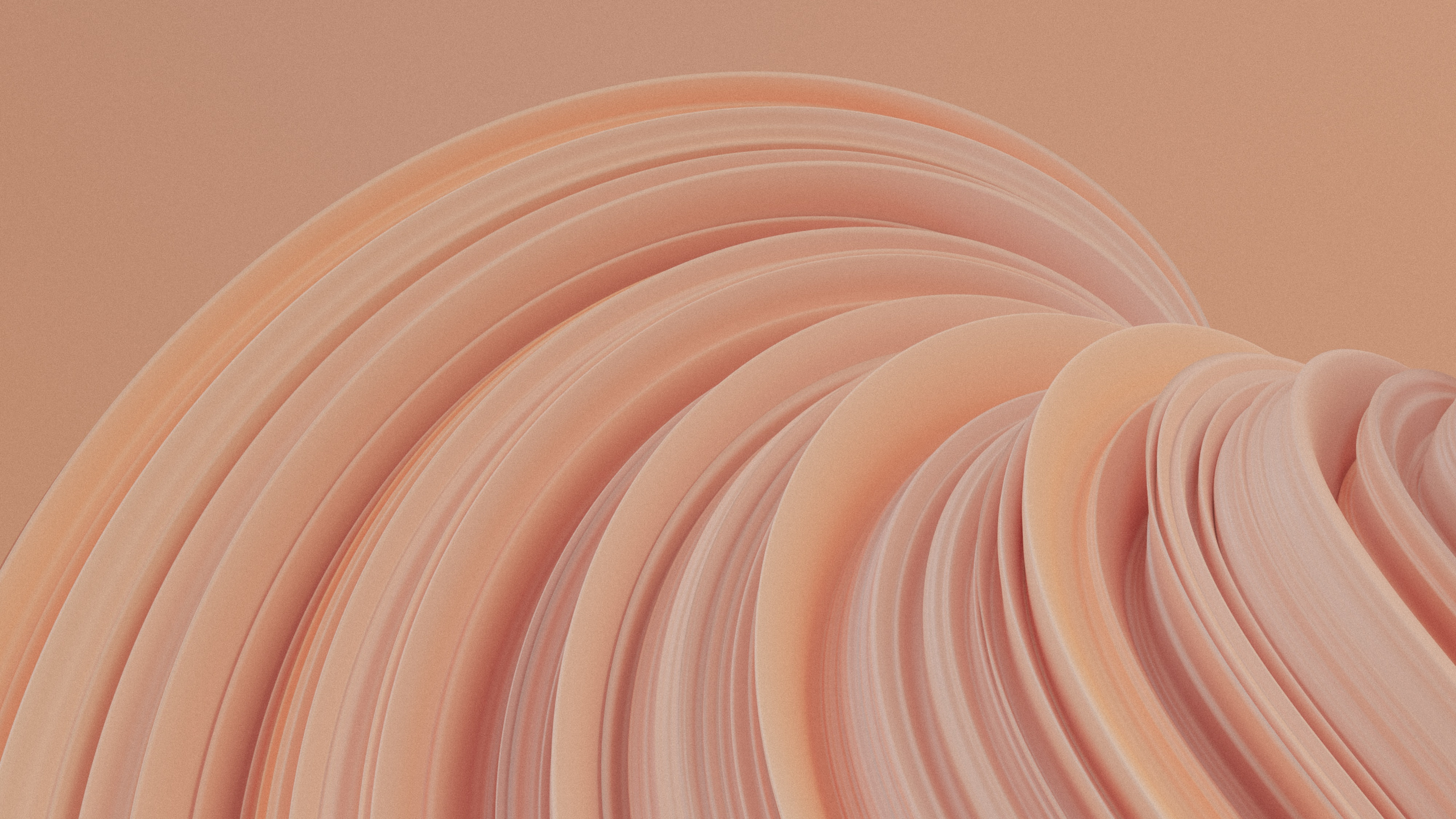 Dishware, Wood, Automotive Tire, Landscape, Circle. Wallpaper in 2560x1440 Resolution