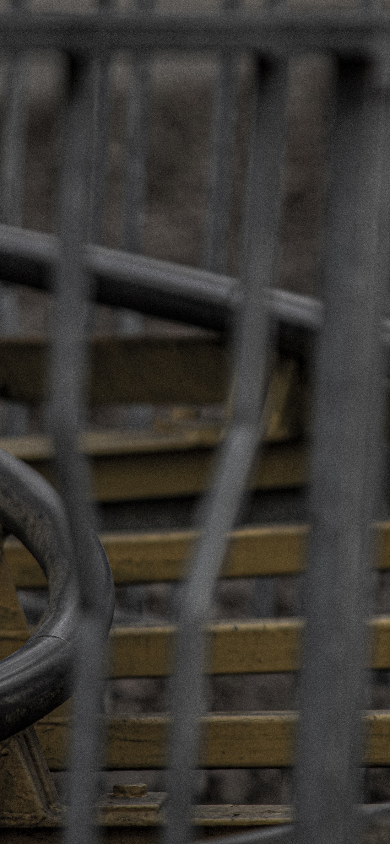 木, 栅栏, 复合材料, 丝围栏 壁纸 1242x2688 允许