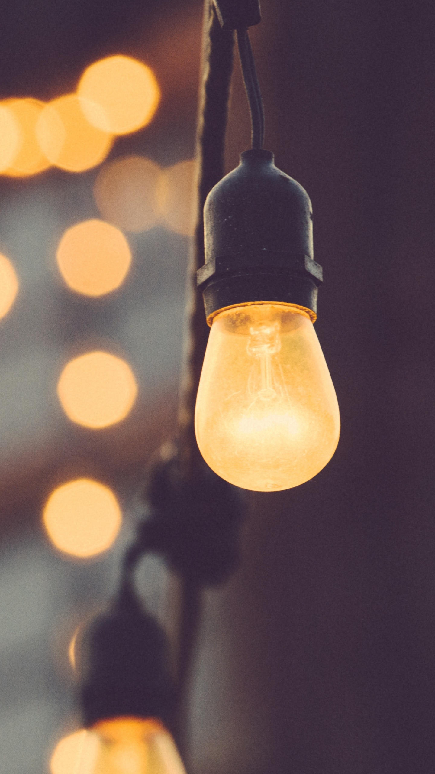 Light, Incandescent Light Bulb, Electric Light, Lighting, Light Fixture. Wallpaper in 1440x2560 Resolution