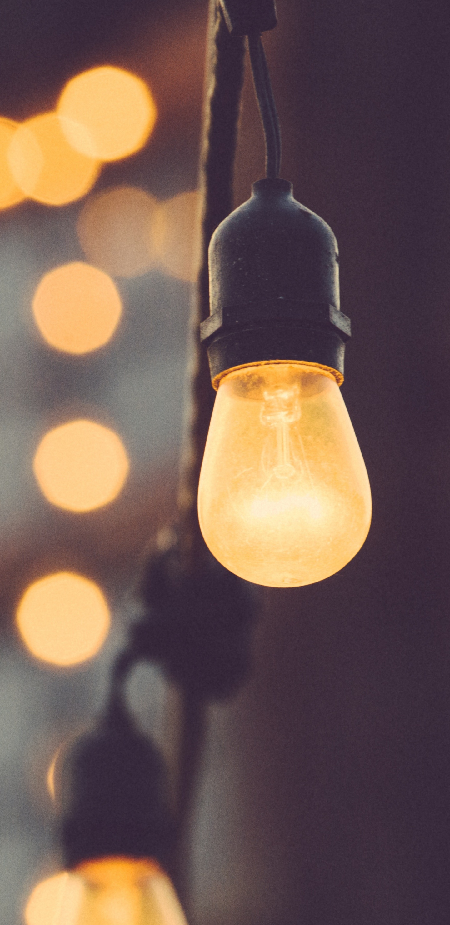 Light, Incandescent Light Bulb, Electric Light, Lighting, Light Fixture. Wallpaper in 1440x2960 Resolution