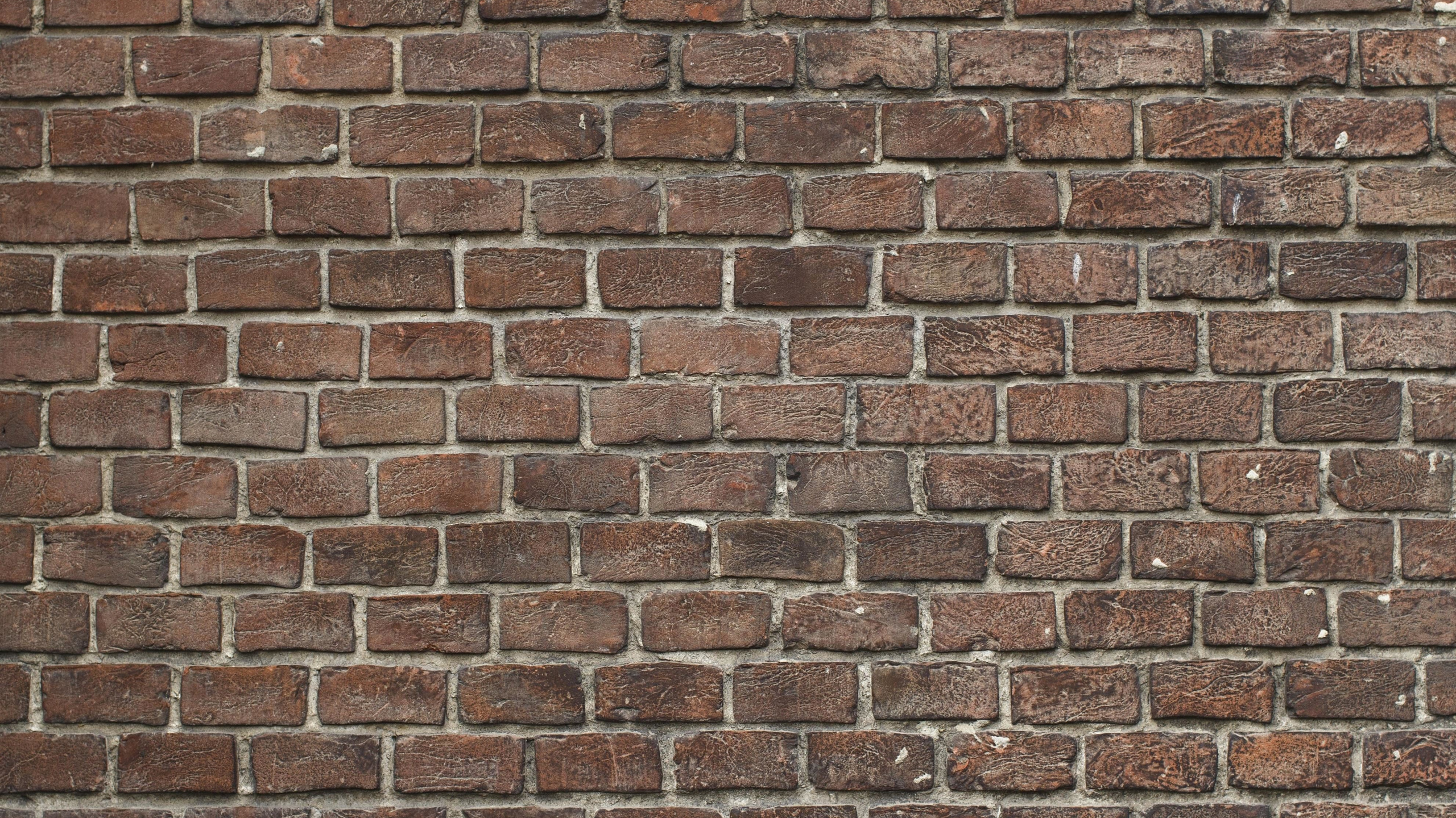 Mur de Briques Marron et Blanc. Wallpaper in 2560x1440 Resolution