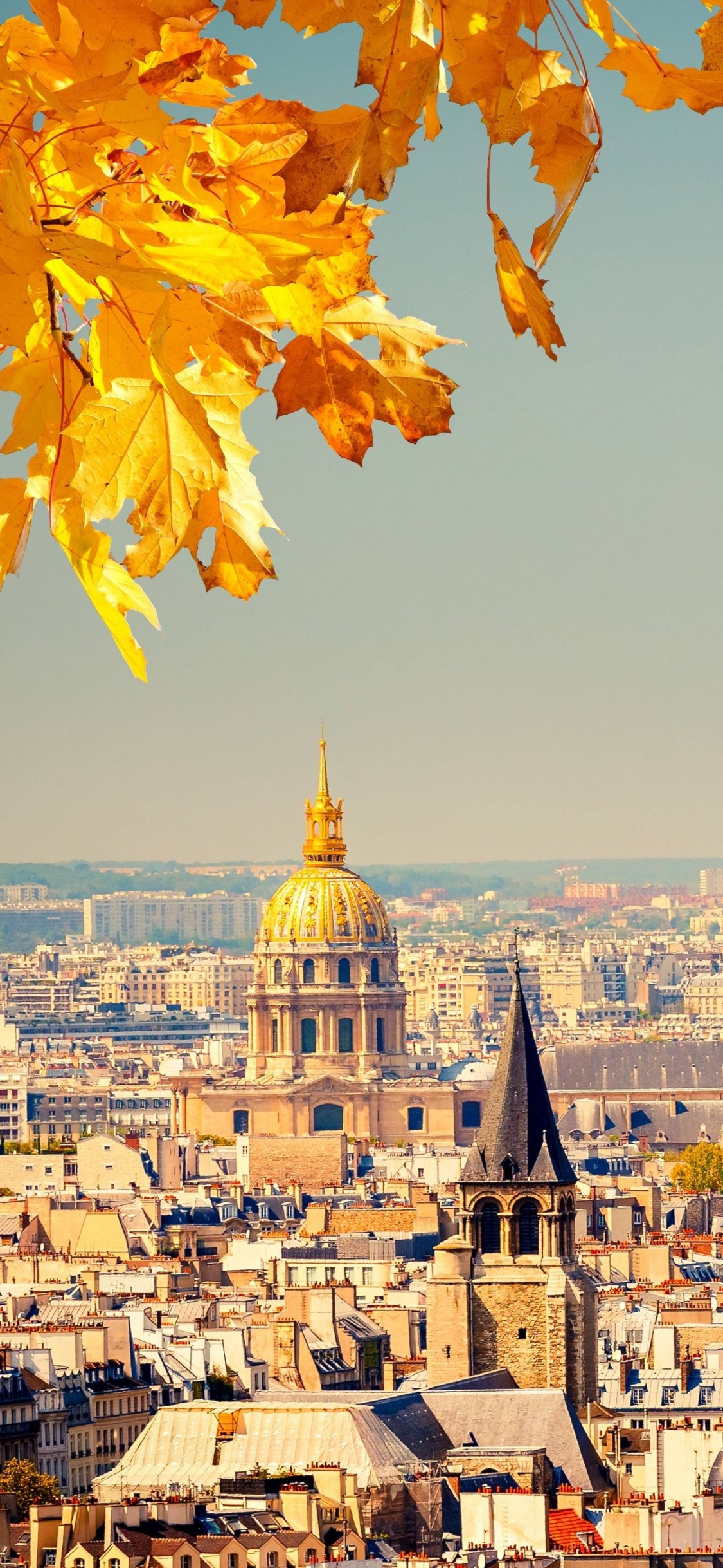 Eiffel Tower, Landmark, City, Cityscape, Urban Area. Wallpaper in 1125x2436 Resolution