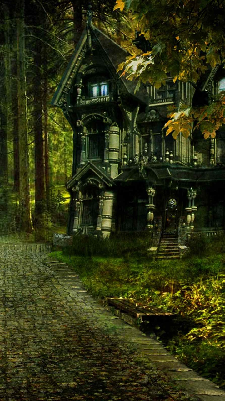 Sentier Brun Entre L'herbe Verte et Les Arbres. Wallpaper in 720x1280 Resolution