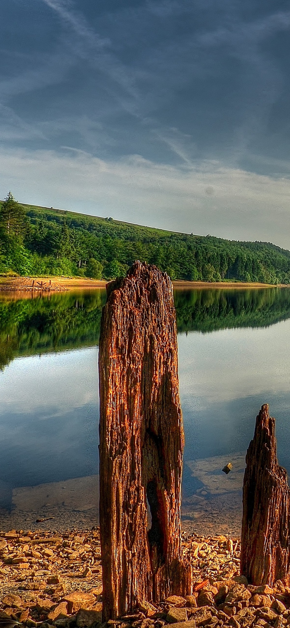 Tronc D'arbre Brun Près du Lac Sous Ciel Bleu Pendant la Journée. Wallpaper in 1125x2436 Resolution