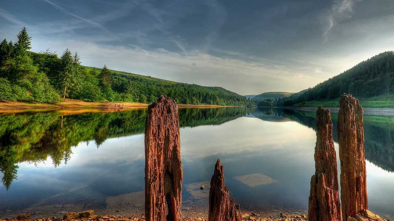 Brown Tree Trunk Near Lake Under Blue Sky During Daytime. Wallpaper in 1280x720 Resolution