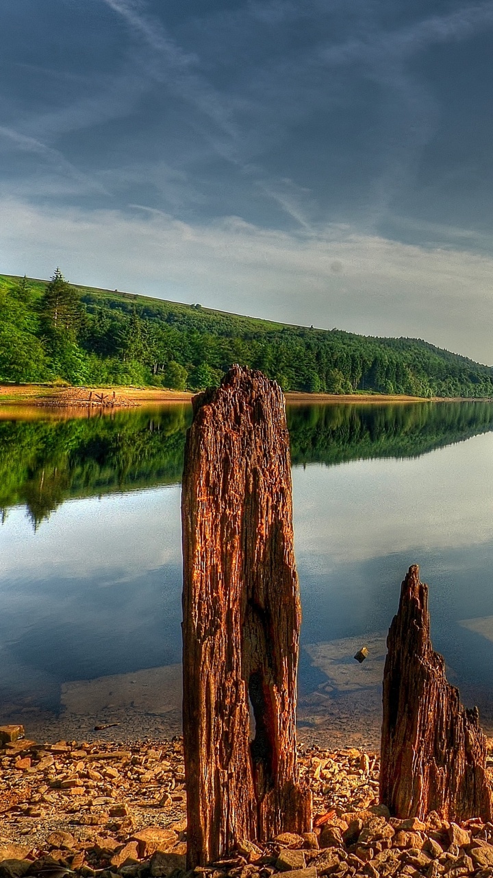 Brown Tree Trunk Near Lake Under Blue Sky During Daytime. Wallpaper in 720x1280 Resolution