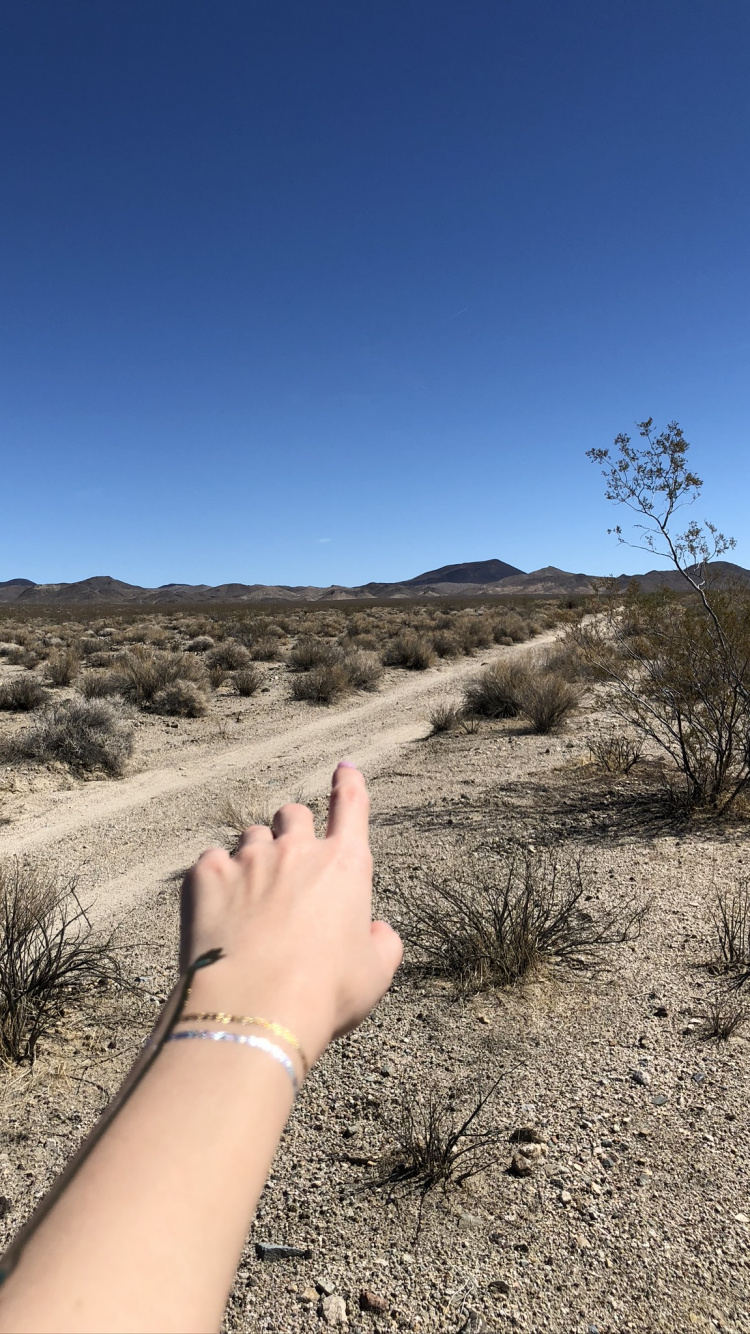 USA, Mojave-Wüste, Heideflächen, Desserts, Finger. Wallpaper in 750x1334 Resolution